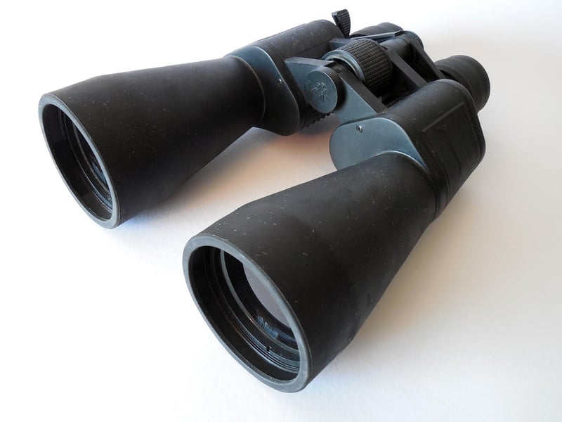 Spy with Binoculars